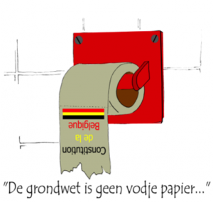 afbeelding Belgian constitutinal law 1